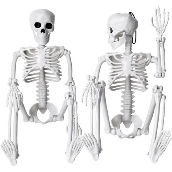 2pcs Skeleton Halloween Decoration, 16” Full Body Posable Halloween Skeleton - Picture 1 of 7